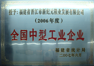 全国中型工业企业